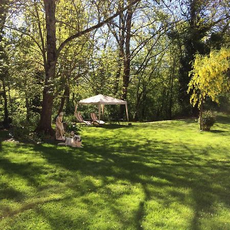 Montgaillard-de-Salies Domaine Du Val De Soux Bed & Breakfast エクステリア 写真